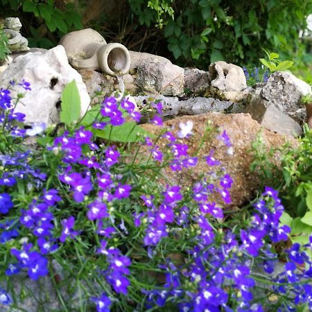 Villa Murgia โซลานาส ภายนอก รูปภาพ