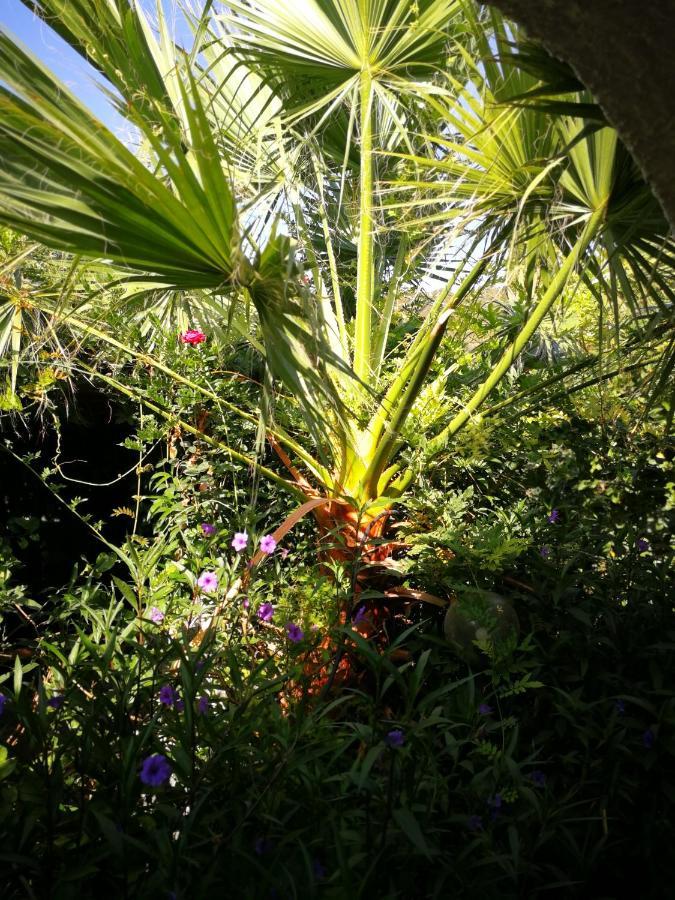Villa Murgia โซลานาส ภายนอก รูปภาพ