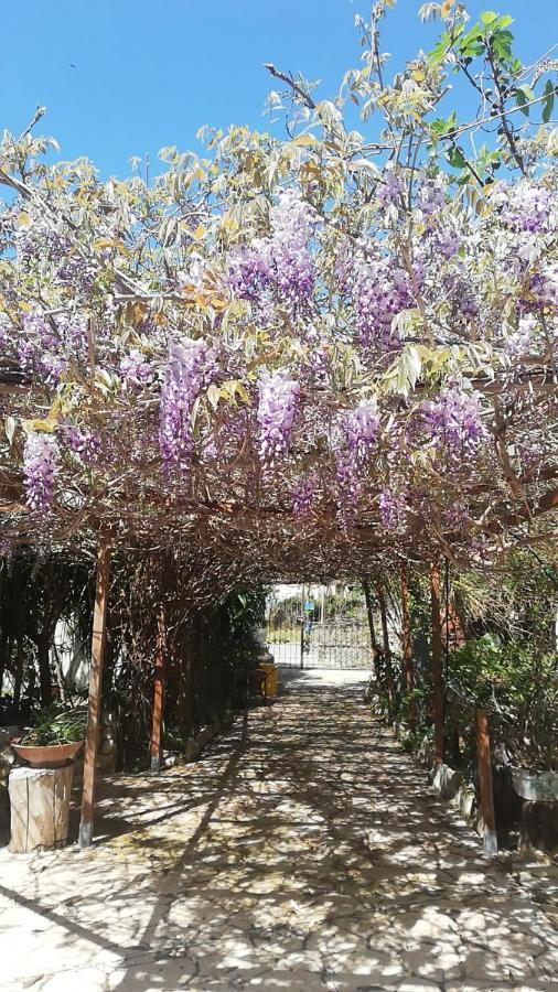 Villa Murgia โซลานาส ภายนอก รูปภาพ